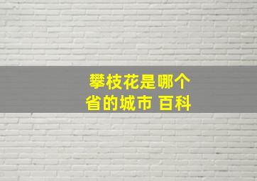 攀枝花是哪个省的城市 百科